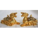 Dragon Head Turtle (Pair)